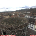 14_30-nest.jpg