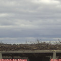 14_35-mast.jpg