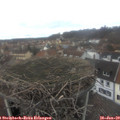 14_35-nest.jpg