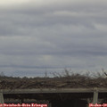 14_40-mast.jpg