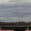 14_45-mast.jpg