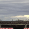 14_50-mast.jpg