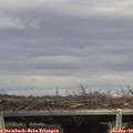 14_55-mast.jpg