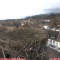 14_55-nest.jpg