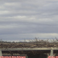 15_05-mast.jpg