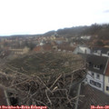 15_15-nest.jpg