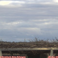 15_40-mast.jpg