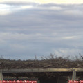 15_45-mast.jpg