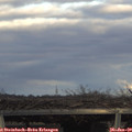 15_50-mast.jpg
