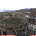 15_50-nest.jpg