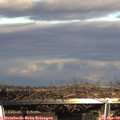 15_55-mast.jpg