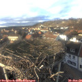 15_55-nest.jpg