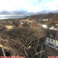 16_00-nest.jpg