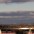 16_15-mast.jpg