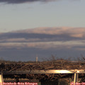 16_20-mast.jpg