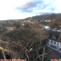 16_30-nest.jpg