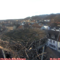16_40-nest.jpg