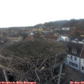 16_55-nest.jpg