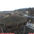 08_10-nest.jpg