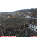 08_15-nest.jpg