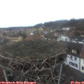 08_20-nest.jpg