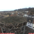 08_25-nest.jpg
