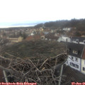 08_35-nest.jpg