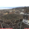 08_40-nest.jpg