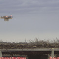 08_45-mast.jpg