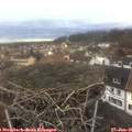 08_45-nest.jpg