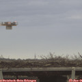 08_50-mast.jpg