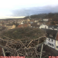 08_50-nest.jpg
