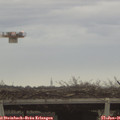08_55-mast.jpg