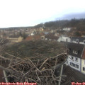 08_55-nest.jpg
