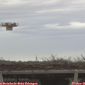09_00-mast.jpg