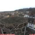 09_00-nest.jpg