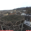09_05-nest.jpg
