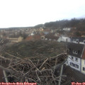 09_10-nest.jpg