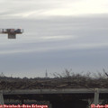 09_15-mast.jpg