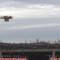 09_20-mast.jpg