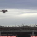 09_25-mast.jpg