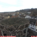 09_25-nest.jpg