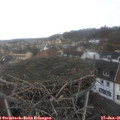 09_30-nest.jpg