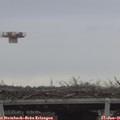09_50-mast.jpg