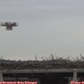 09_55-mast.jpg