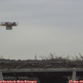 10_00-mast.jpg