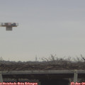 10_10-mast.jpg