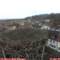 10_10-nest.jpg