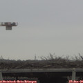10_15-mast.jpg