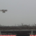 10_25-mast.jpg